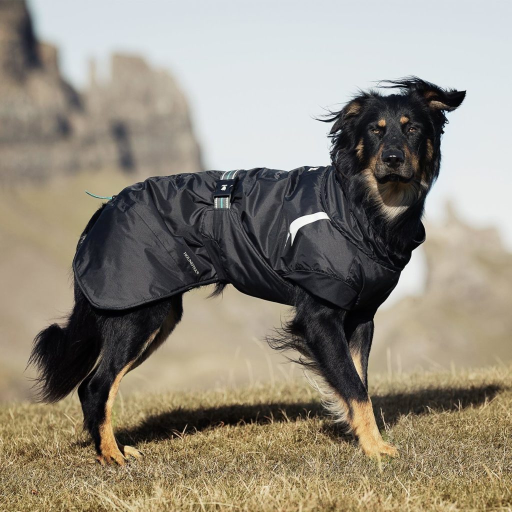 The Hurtta Summit Parka is one of the 5 best dog coats of 2023