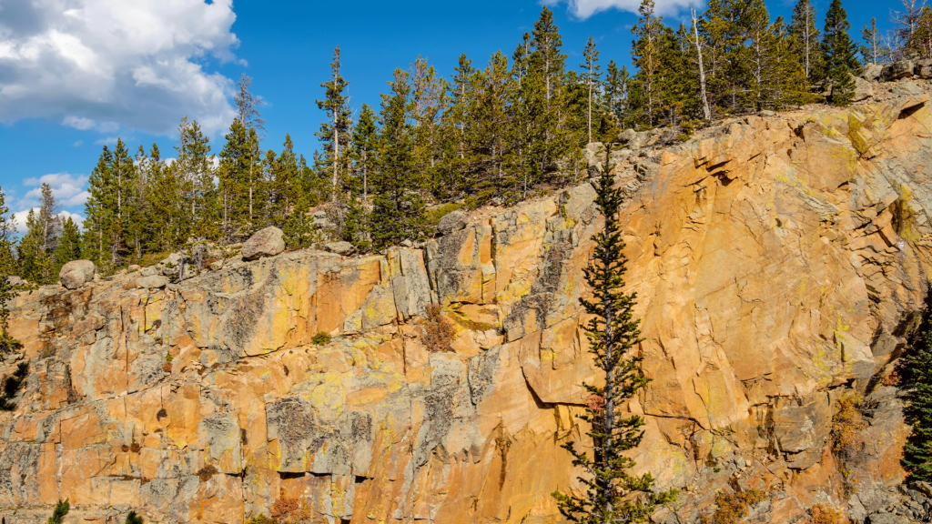 Rocky Mountain National Park is a Great Place to Camp with Dogs