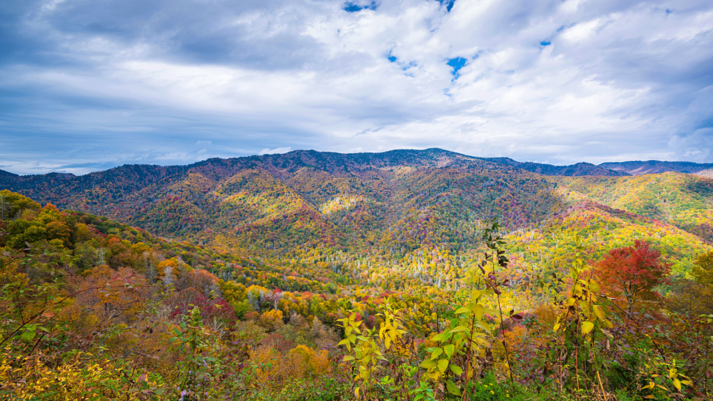 Great Smokey Mountains are one the Dog-Friendly National Parks