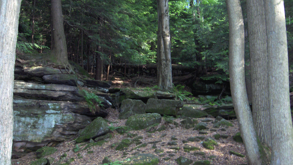 Cuyahoga Valley National Park is a great place to hike with dogs