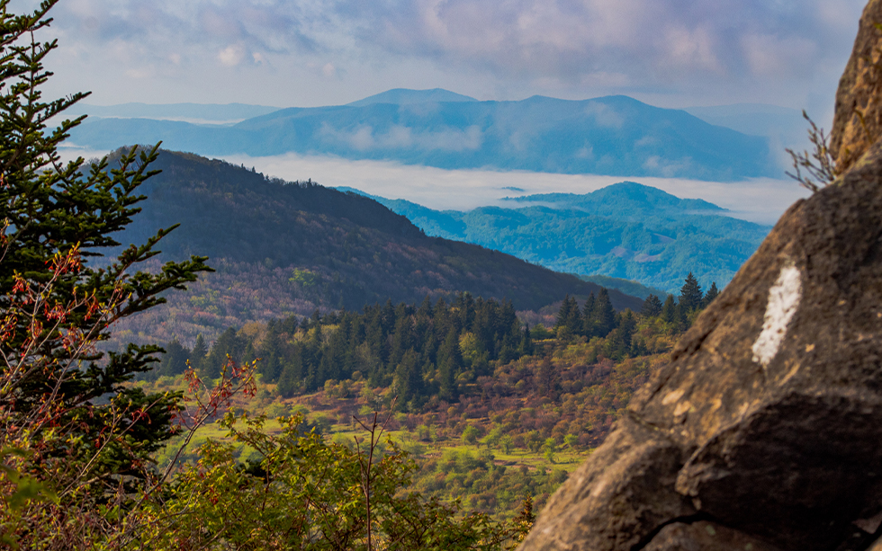 the Appalachian Trail is ideal for hiking with your dog