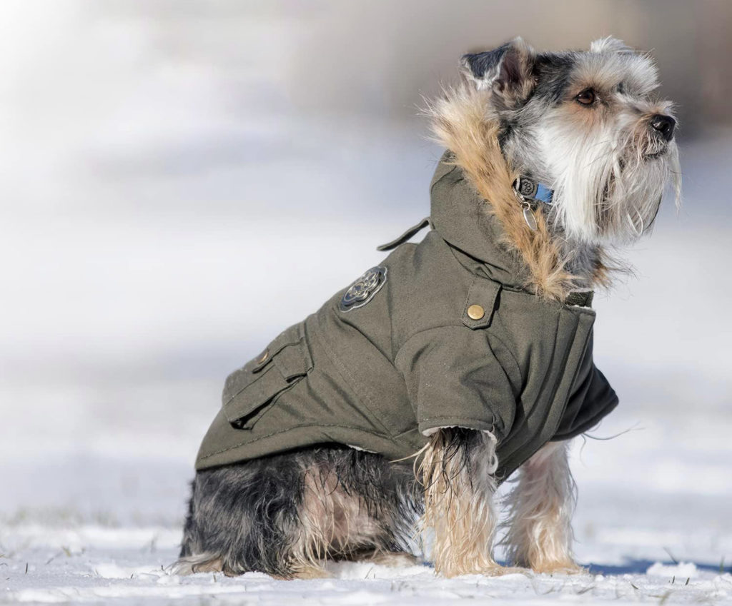 The Canada Pooch Alaskan Army Parka is one of the 5 best dog coats of 2023