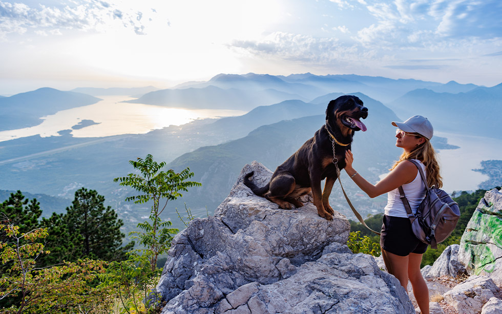 keeping your dog leashed is important when backpacking with dogs in bear country