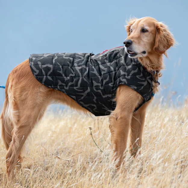 The Kurgo Loft Dog Jacket is one of the best dog coats of 2023
