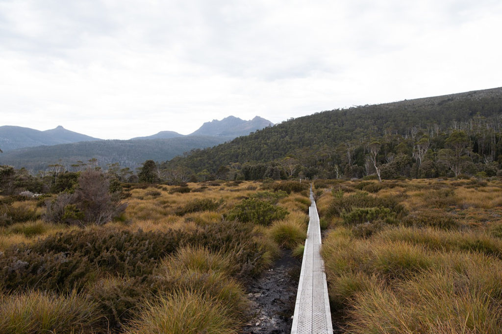 Overland Track in Tasmania