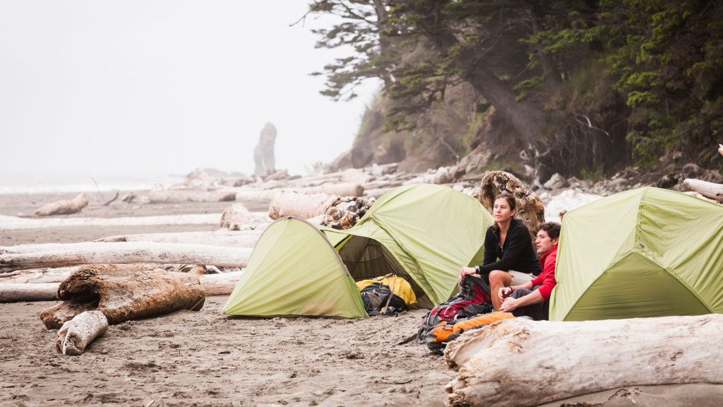 Olympic National Park as seen here is a Dog-Friendly National Park