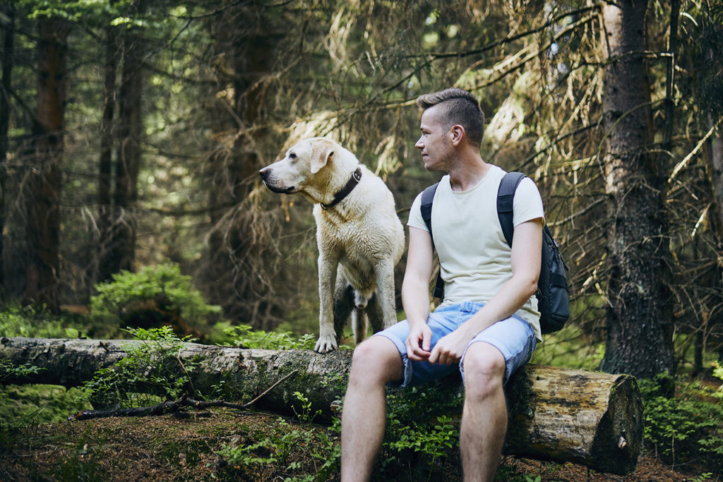 Resting man that likes to backpack with a dog